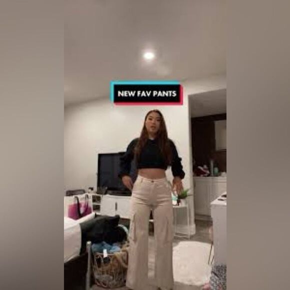 Wilfred Free Aritzia New Highway Cargo Pants Tan Size 4 - Picture 2 of 11